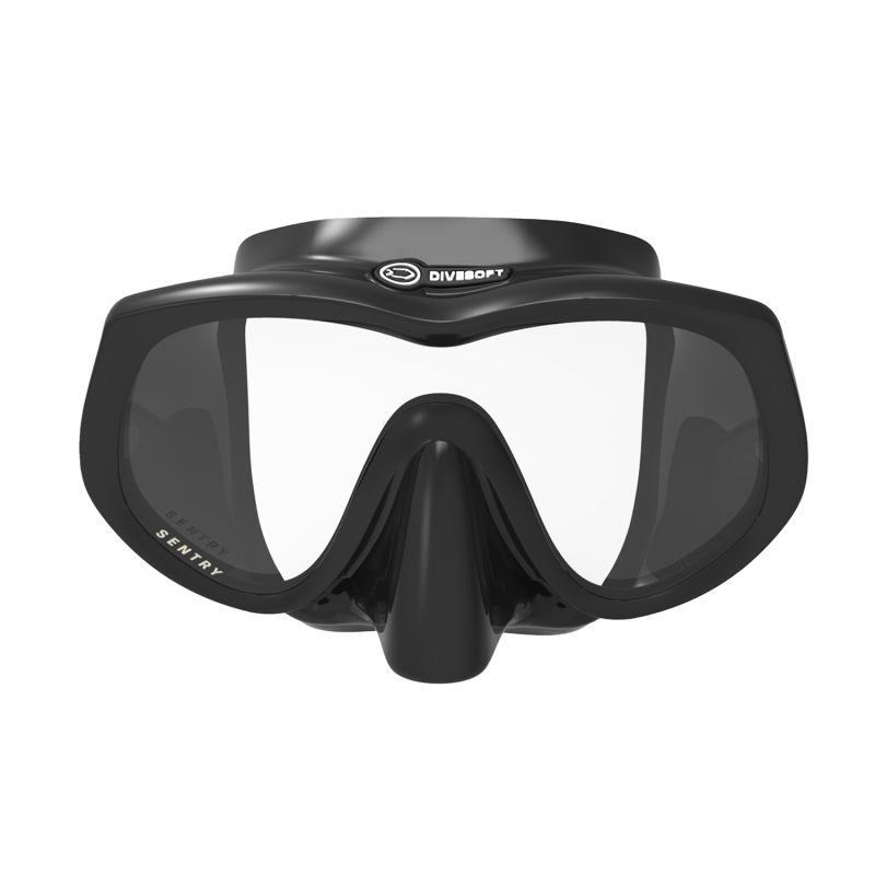 SENTRY mask
