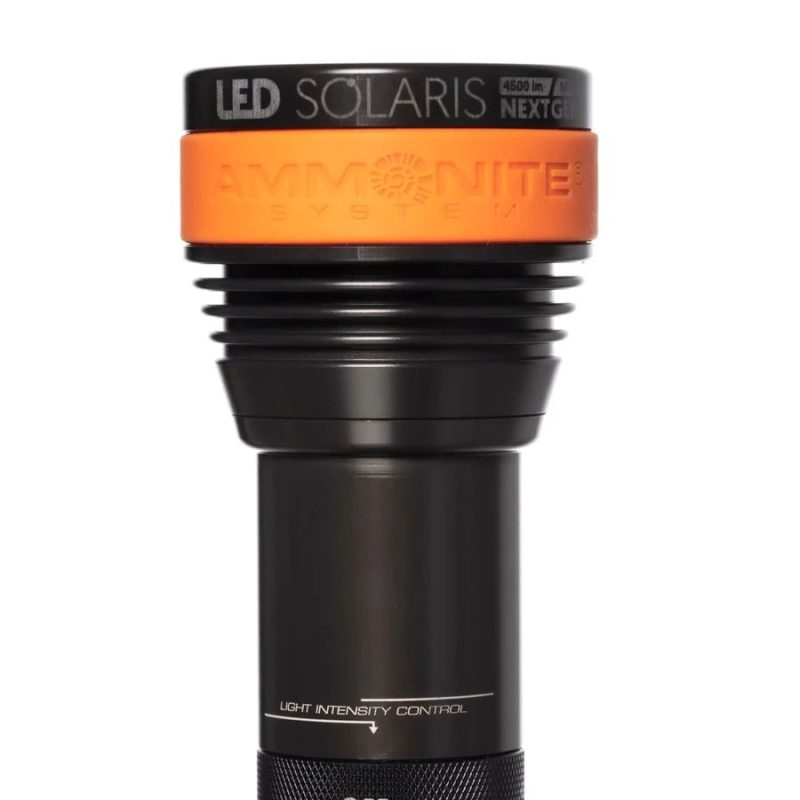 Ammonite LED SOLARIS NEXT GEN Head Only